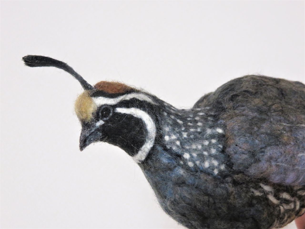 カンムリウズラ 羊毛の苑 生き物羊毛フェルト カンムリウズラ 羊毛の苑 生き物羊毛フェルト