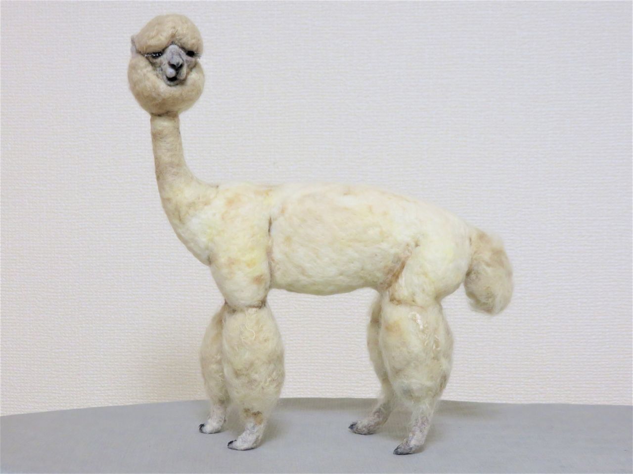 毛刈り後アルパカ 羊毛の苑 生き物羊毛フェルト