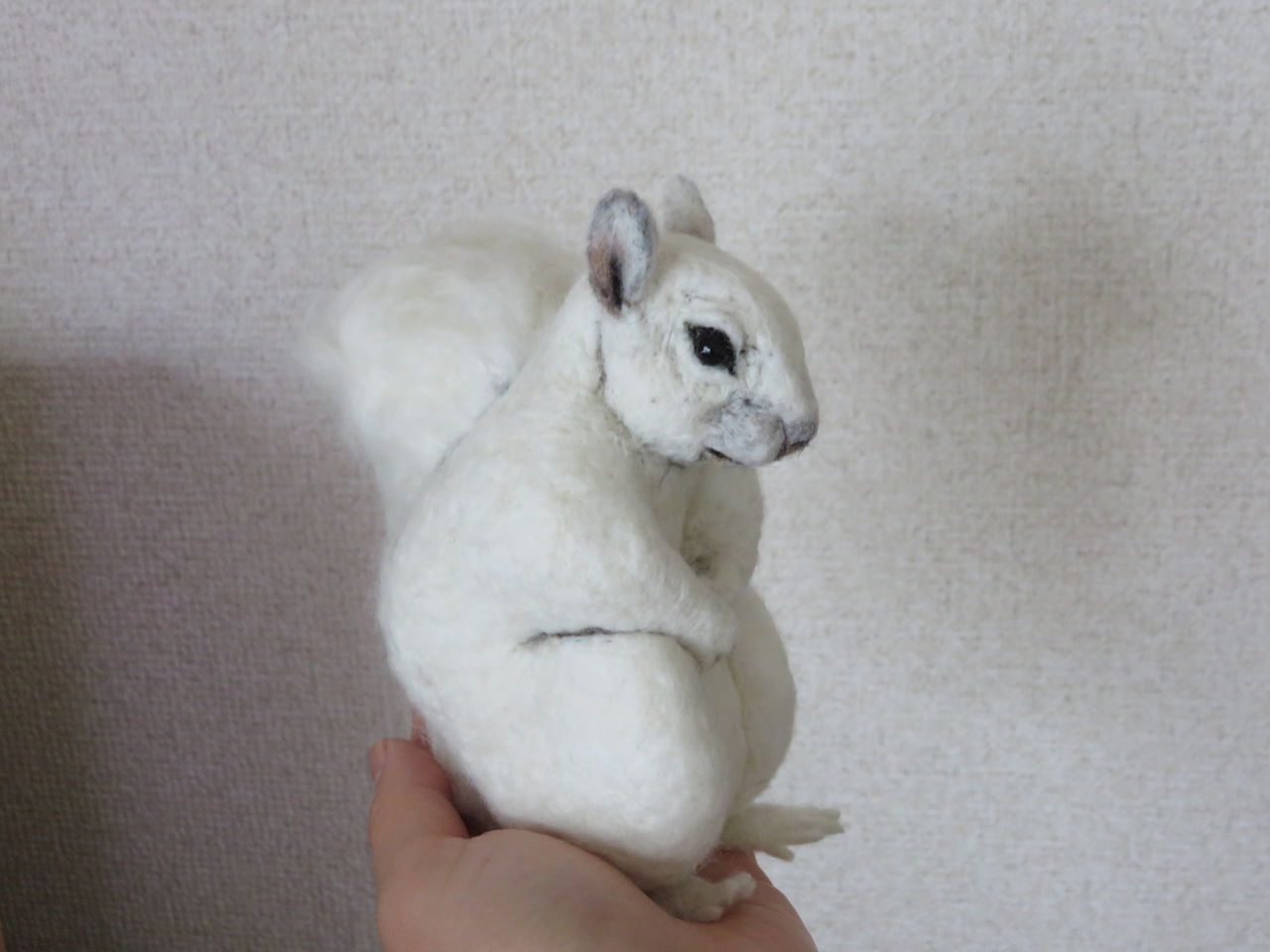 リス 白変個体 羊毛の苑 生き物羊毛フェルト リス 白変個体 羊毛の苑 生き物羊毛フェルト