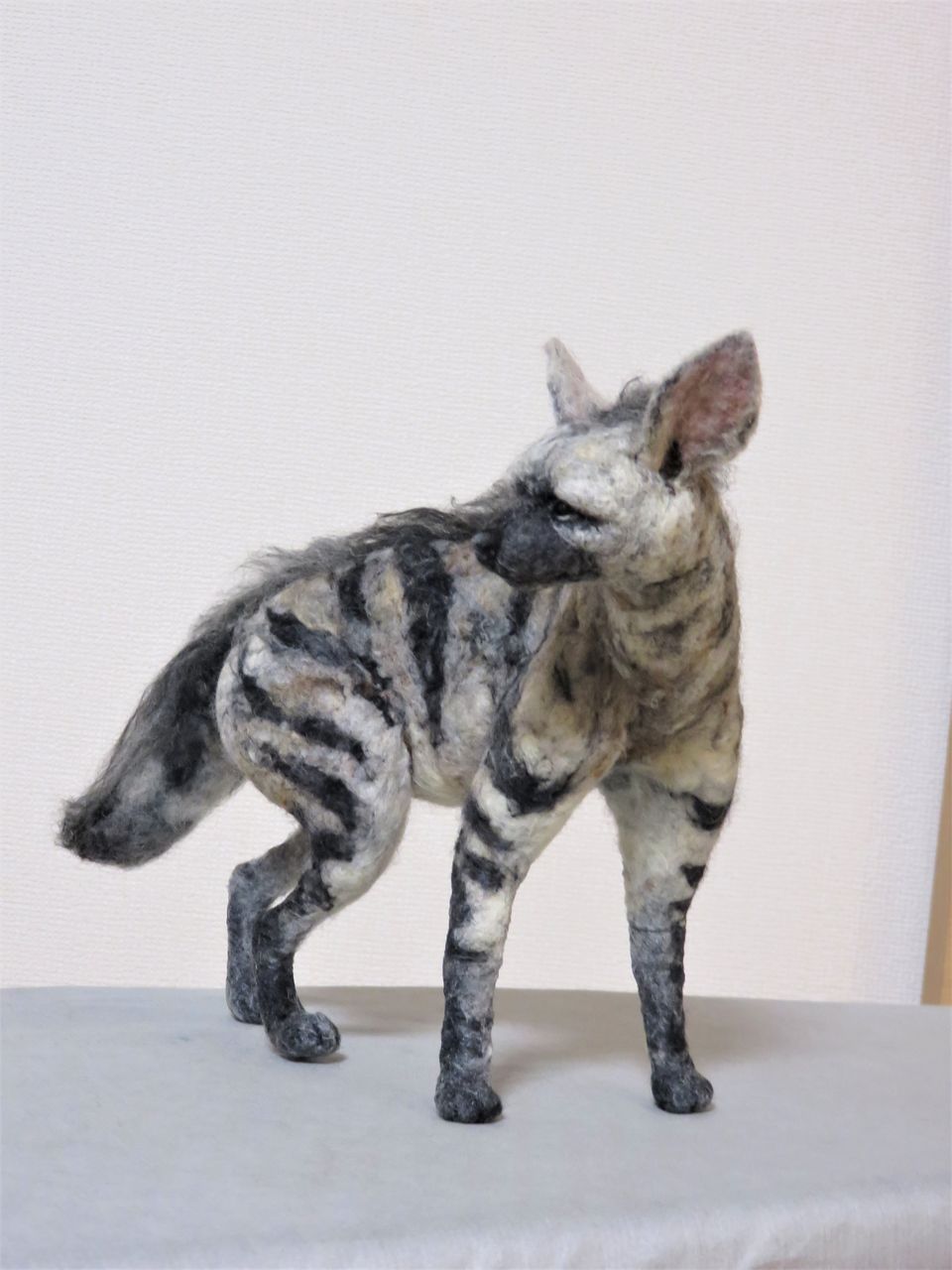 アードウルフ 羊毛の苑 生き物羊毛フェルト アードウルフ 羊毛の苑 生き物羊毛フェルト