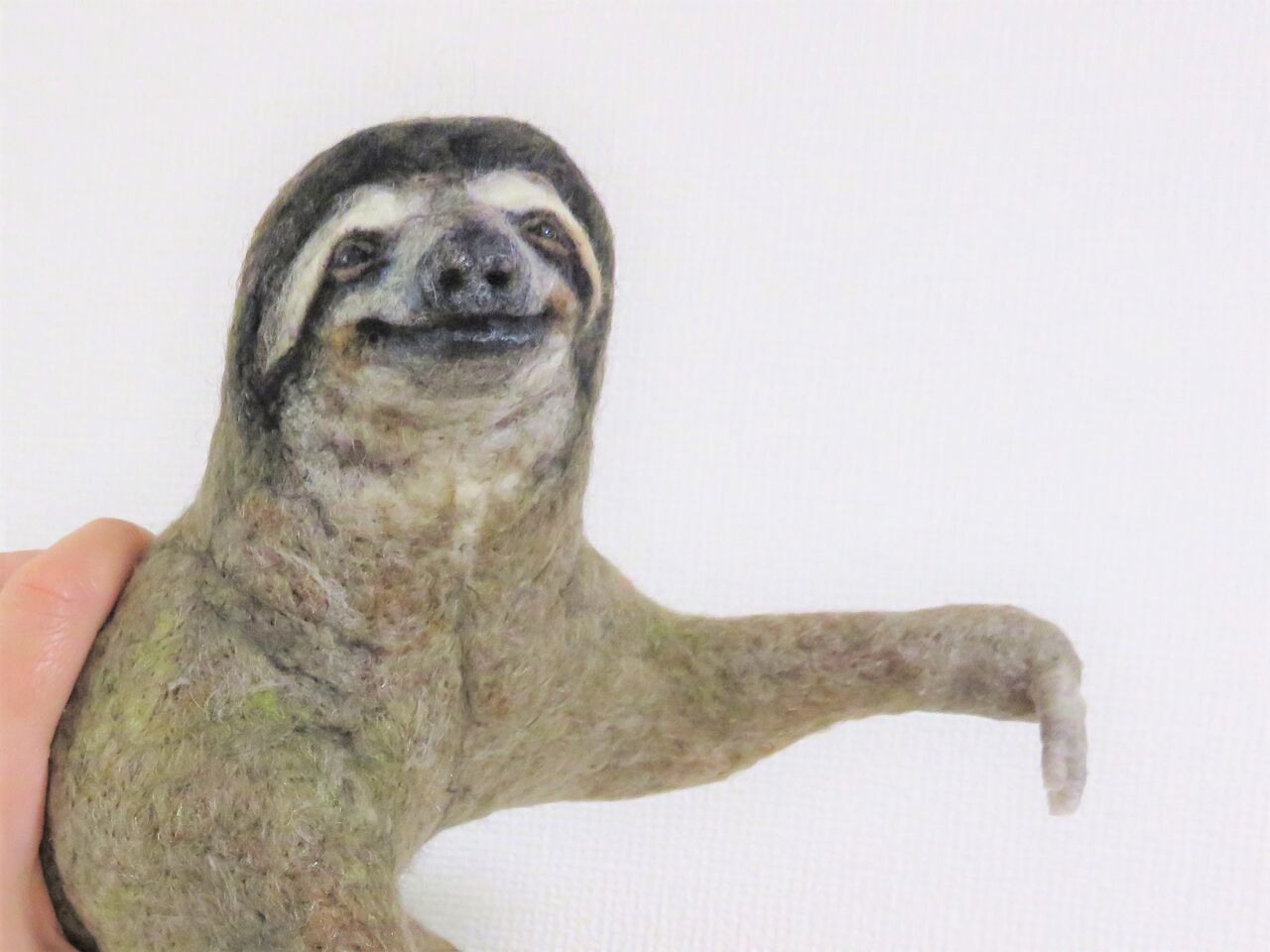 ミユビナマケモノ 羊毛の苑 生き物羊毛フェルト