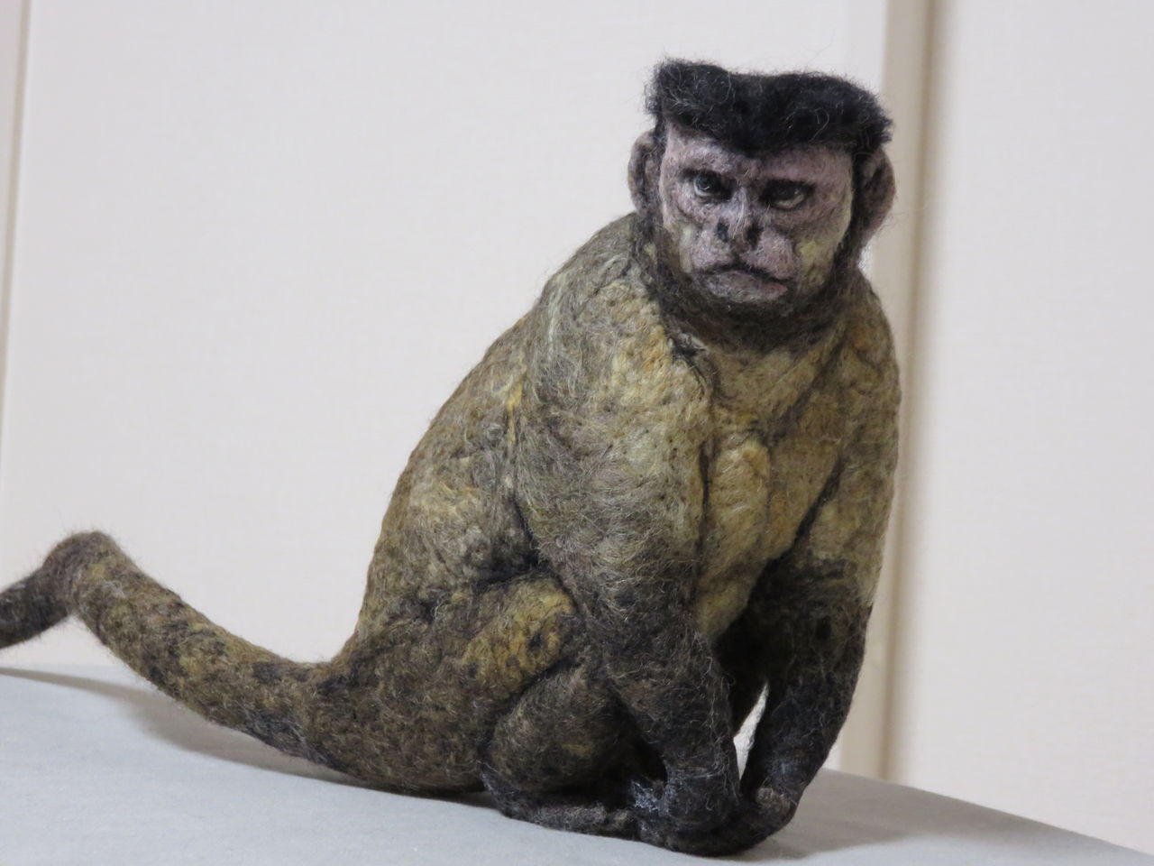 フサオマキザル 羊毛の苑 生き物羊毛フェルト フサオマキザル 羊毛の苑 生き物羊毛フェルト
