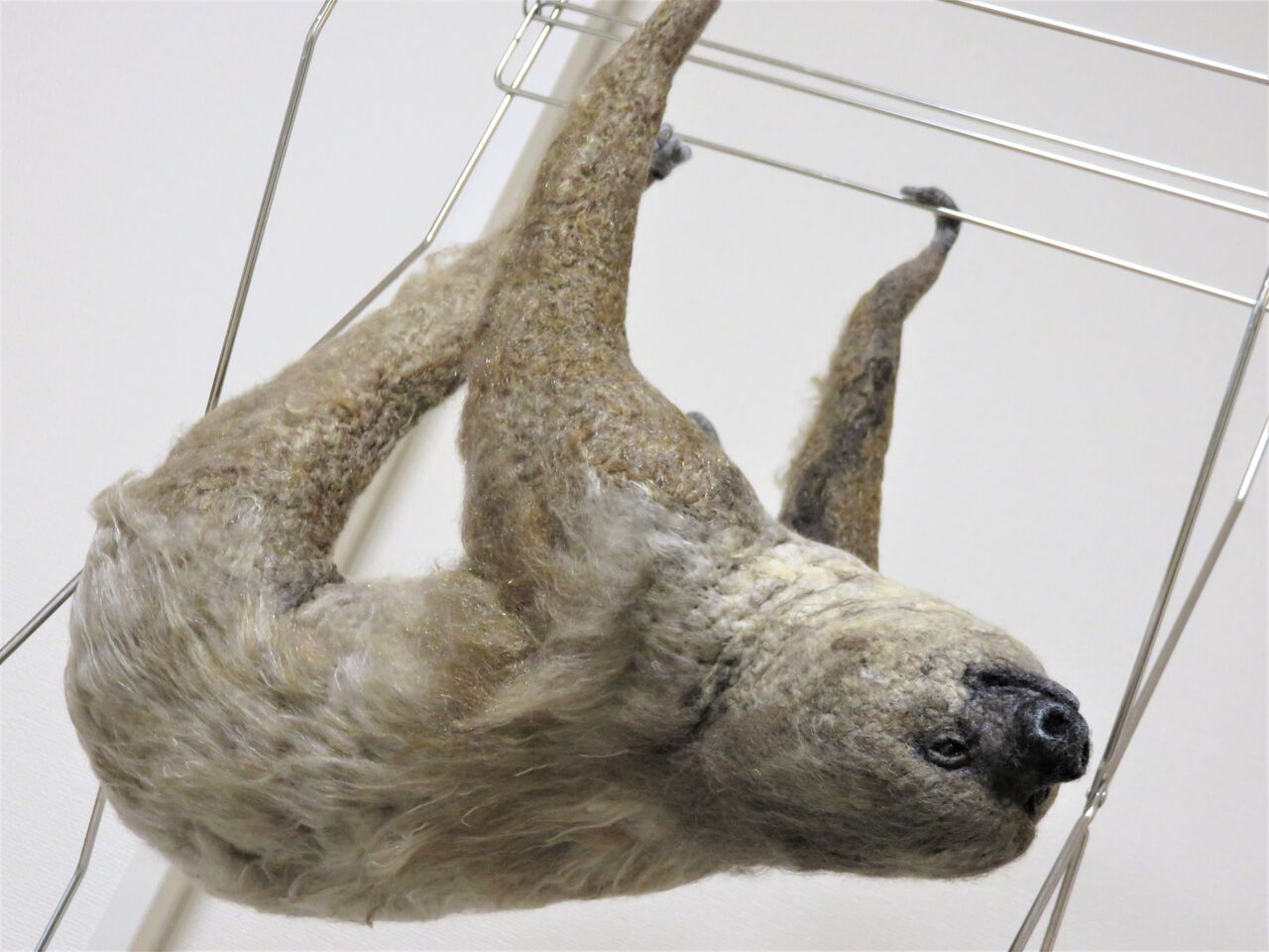 フタユビナマケモノ 大人 羊毛の苑 生き物羊毛フェルト フタユビナマケモノ 大人 羊毛の苑 生き物羊毛フェルト