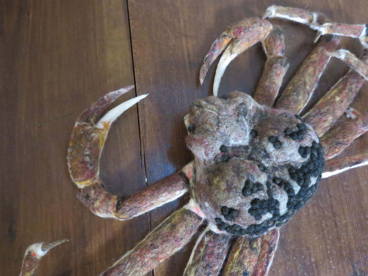 ズワイガニ 羊毛の苑 生き物羊毛フェルト