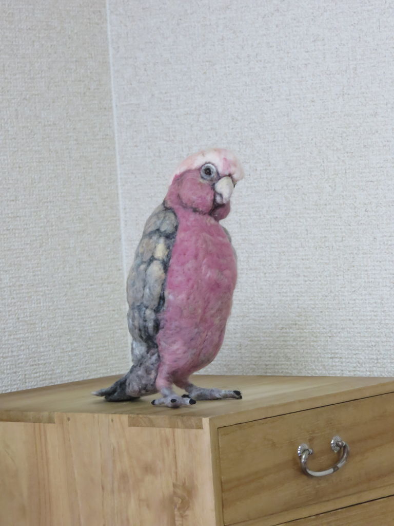 モモイロインコ 羊毛の苑 生き物羊毛フェルト モモイロインコ 羊毛の苑 生き物羊毛フェルト