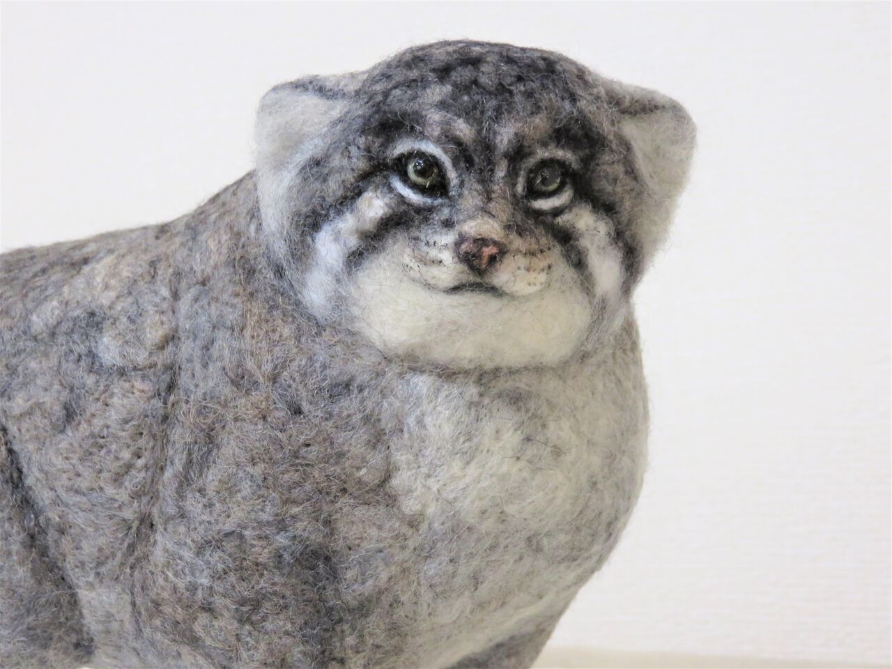 マヌルネコ : 羊毛の苑～生き物羊毛フェルト～