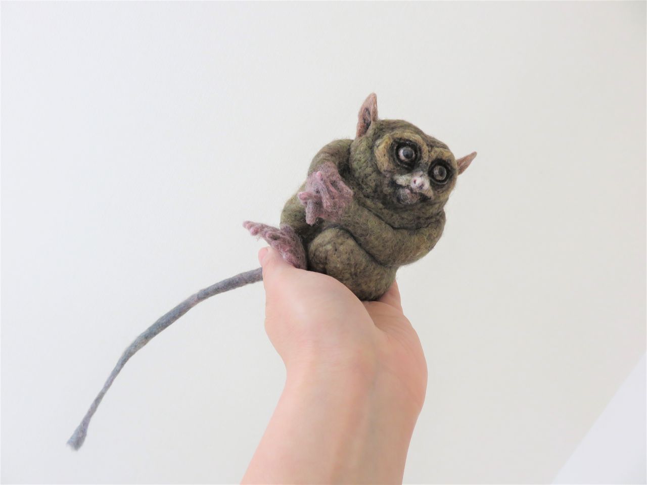 メガネザル 羊毛の苑 生き物羊毛フェルト