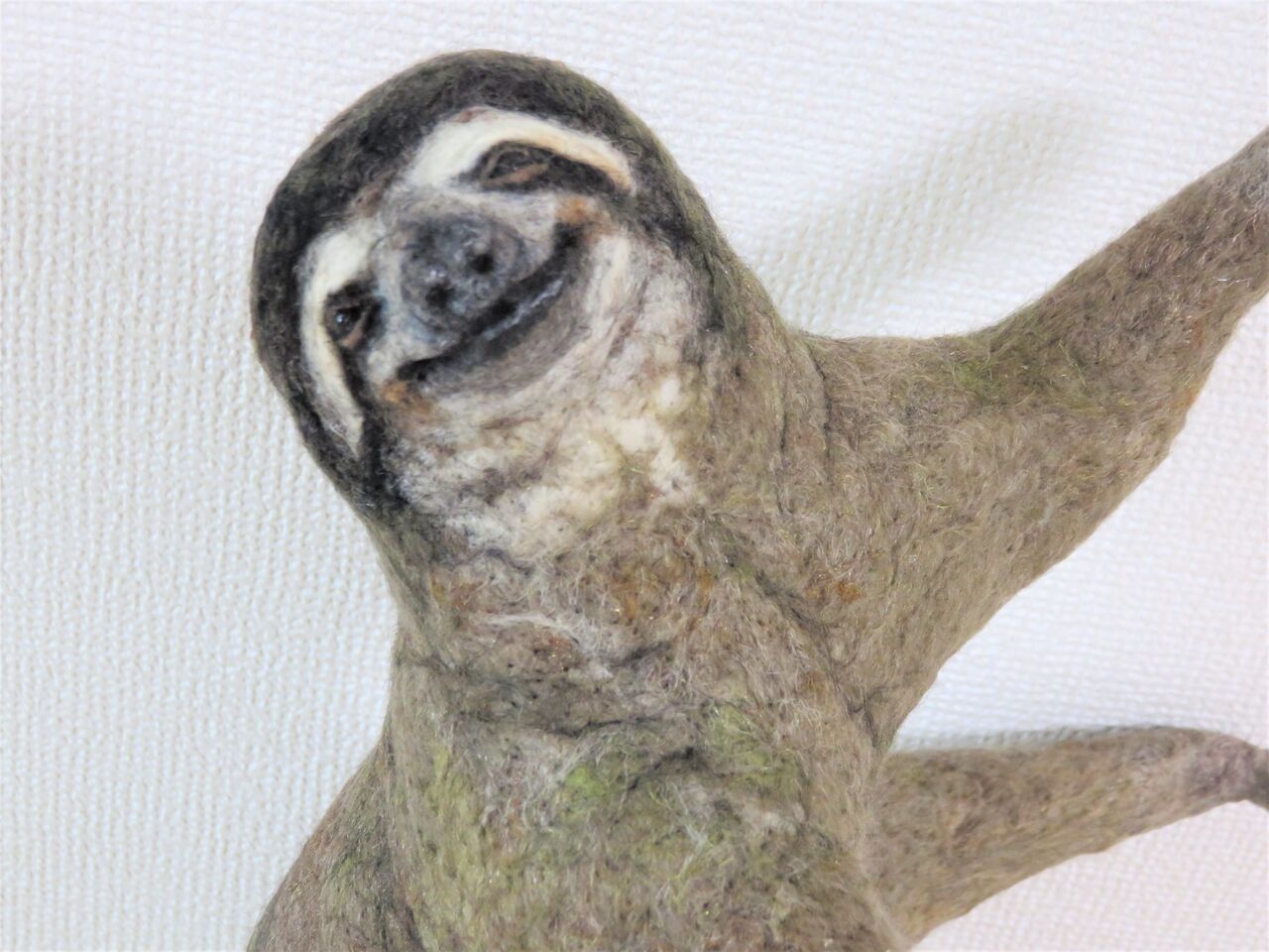 ミユビナマケモノ 羊毛の苑 生き物羊毛フェルト