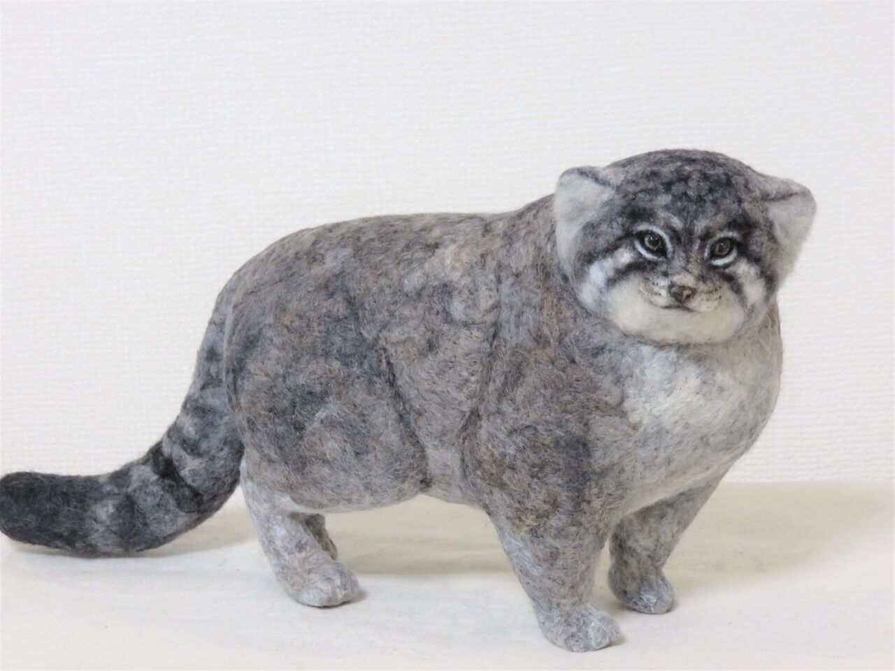 羊毛フェルト　マヌルネコ マヌルネコ : 羊毛の苑～生き物羊毛フェルト～