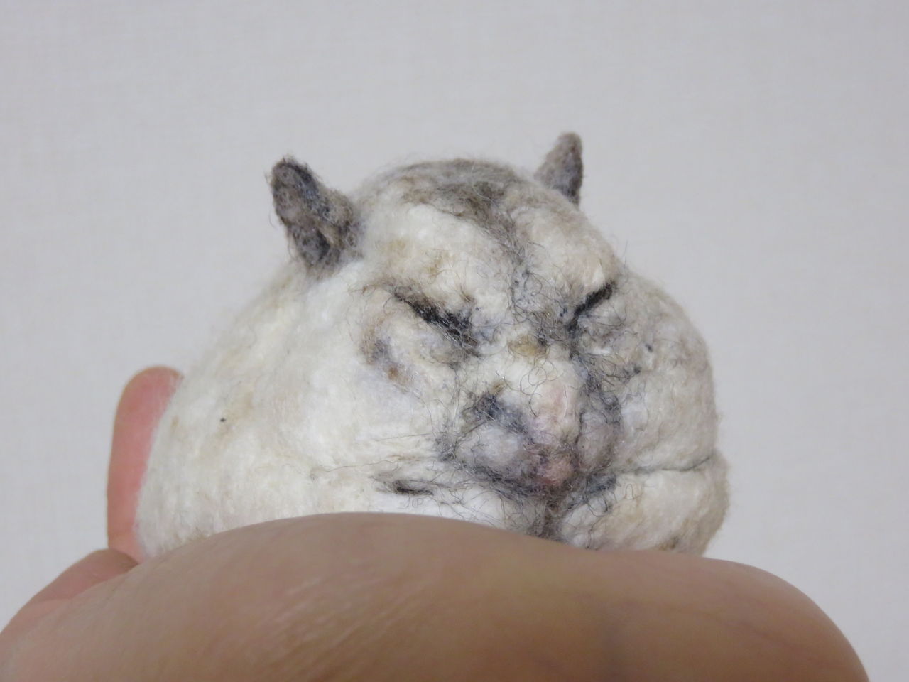 ハムスター 寝る 32141001523 の写真素材 イラスト素材 アマナイメージズ