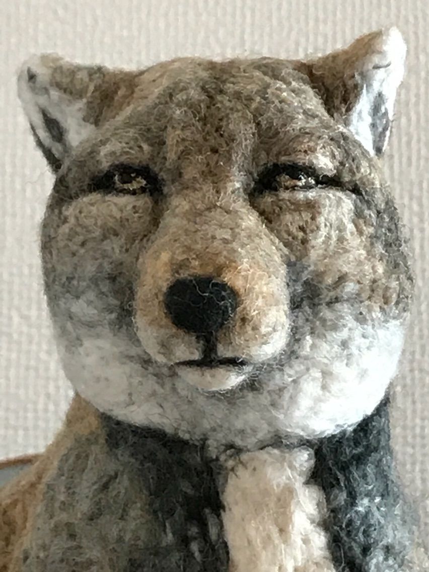 チベットスナギツネ 羊毛の苑 生き物羊毛フェルト チベットスナギツネ 羊毛の苑 生き物羊毛フェルト