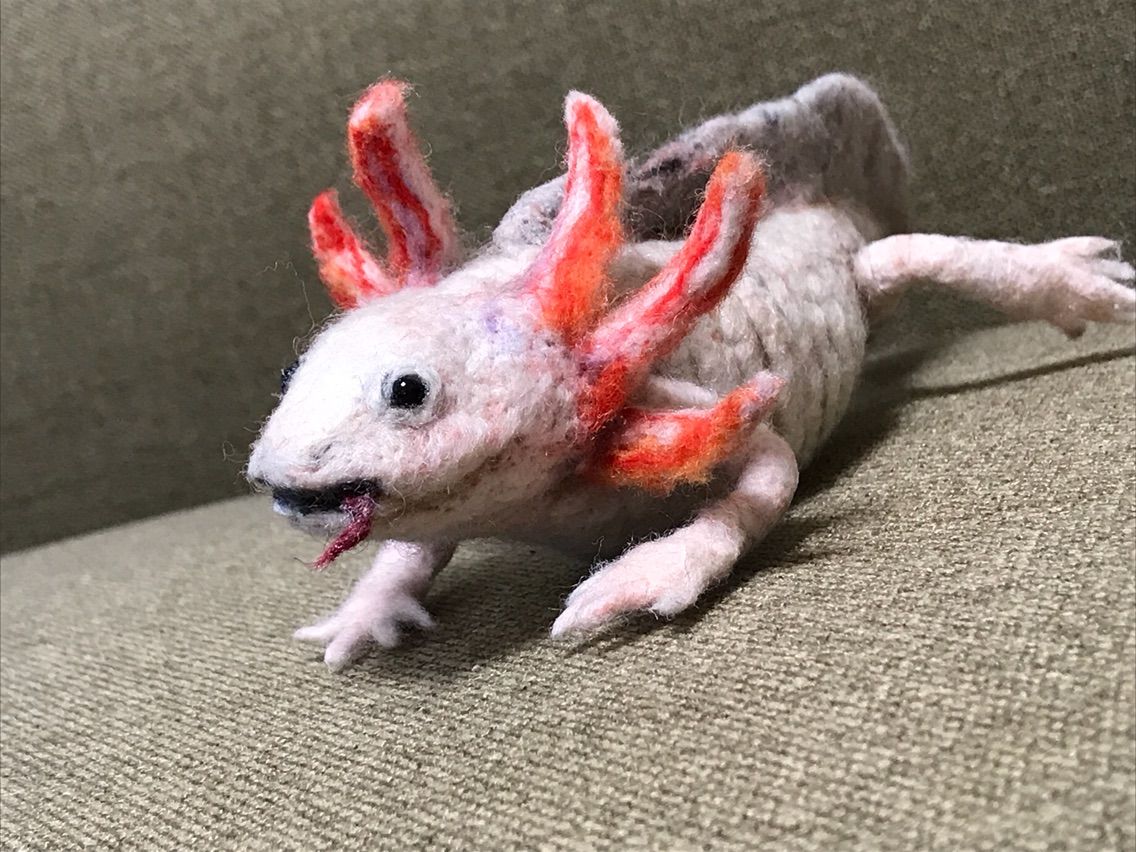 ウーパールーパー2 羊毛の苑 生き物羊毛フェルト ウーパールーパー2 羊毛の苑 生き物羊毛フェルト