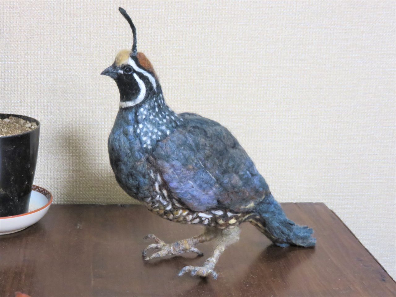 カンムリウズラ 羊毛の苑 生き物羊毛フェルト カンムリウズラ 羊毛の苑 生き物羊毛フェルト