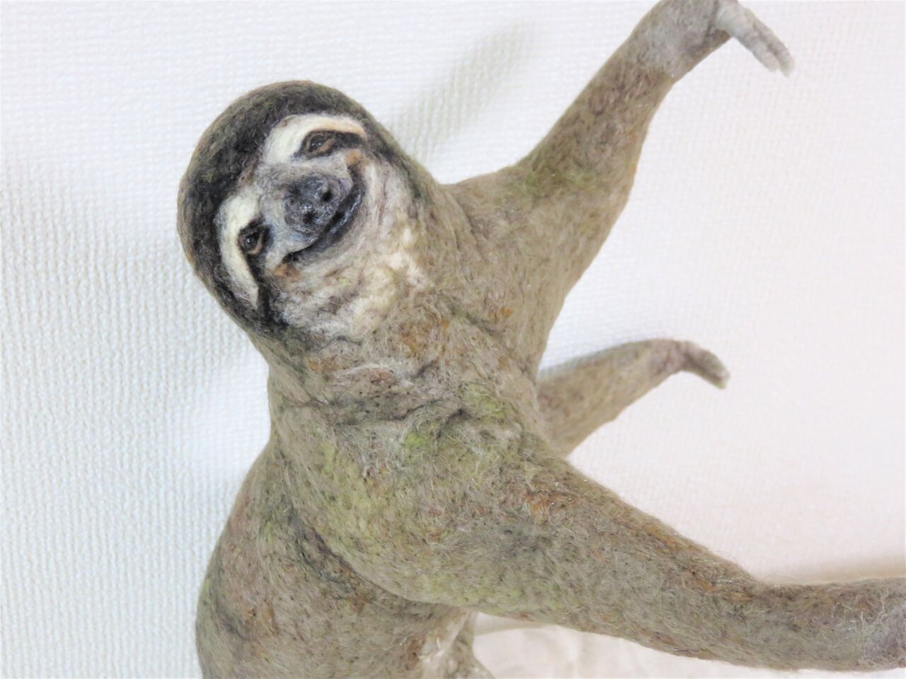 ミユビナマケモノ 羊毛の苑 生き物羊毛フェルト