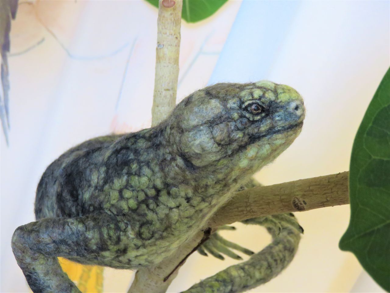 オマキトカゲ 羊毛の苑 生き物羊毛フェルト
