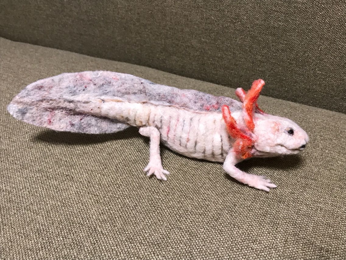 ウーパールーパー 羊毛の苑 生き物羊毛フェルト ウーパールーパー 羊毛の苑 生き物羊毛フェルト