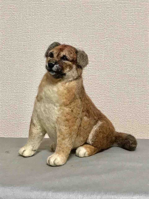 FullSizeRender