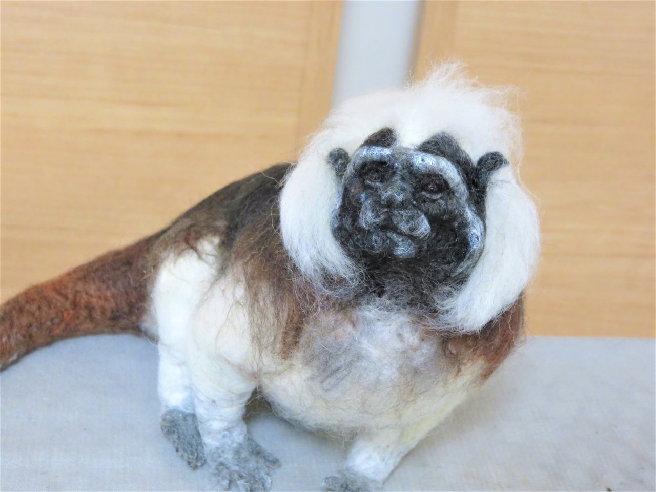 ワタボウシタマリン手直し 羊毛の苑 生き物羊毛フェルト