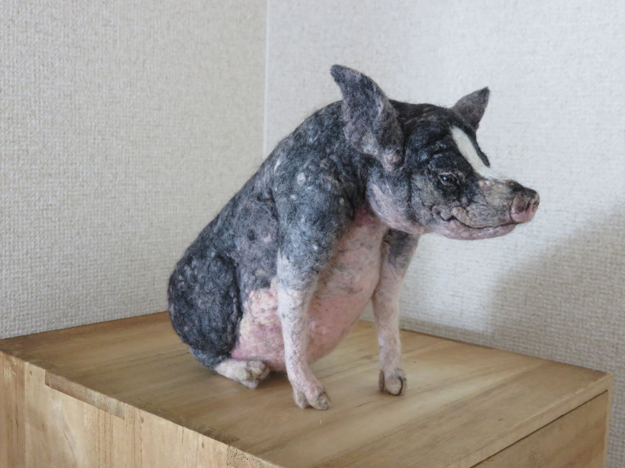 ミニブタ 羊毛の苑 生き物羊毛フェルト ミニブタ 羊毛の苑 生き物羊毛フェルト