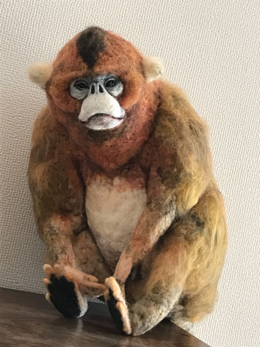 キンシコウ 羊毛の苑 生き物羊毛フェルト
