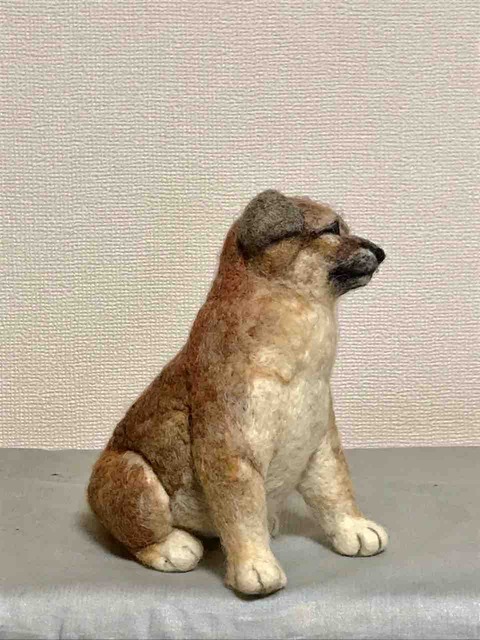 FullSizeRender