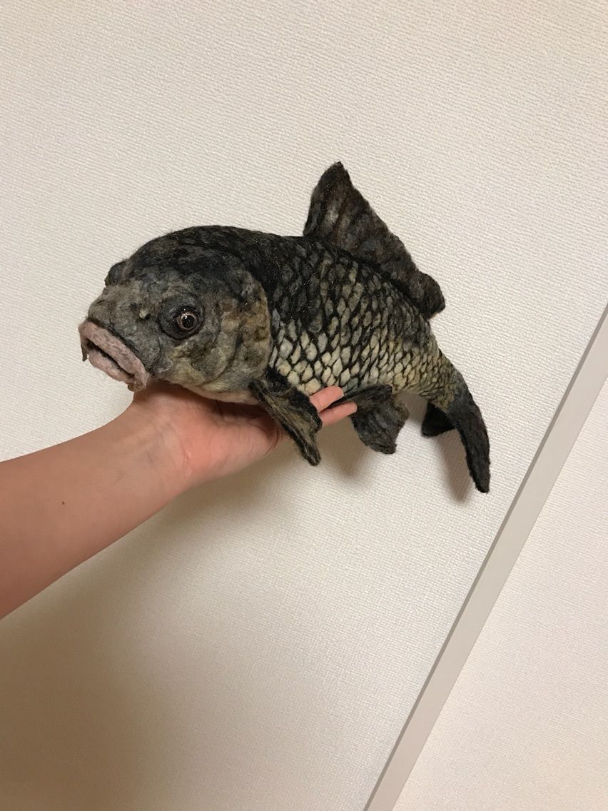 真鯉 : 羊毛の苑～生き物羊毛フェルト～