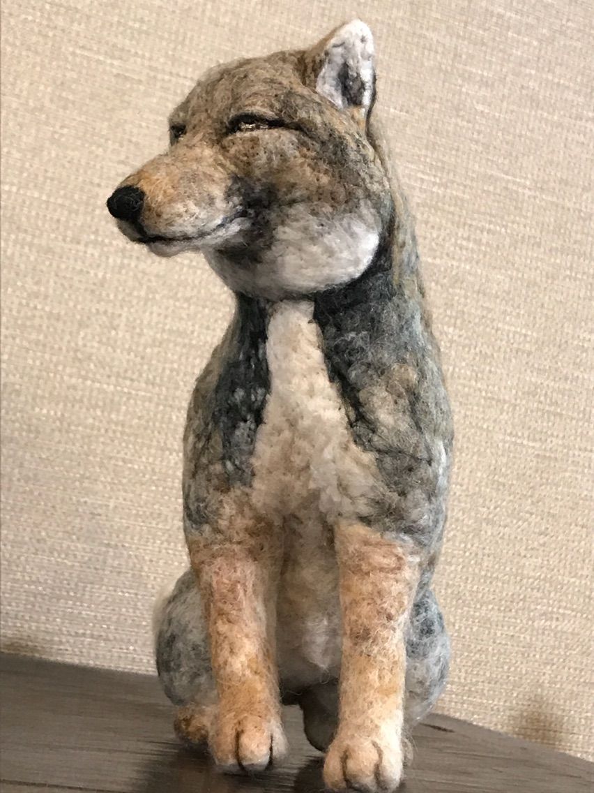 チベットスナギツネ 羊毛の苑 生き物羊毛フェルト チベットスナギツネ 羊毛の苑 生き物羊毛フェルト
