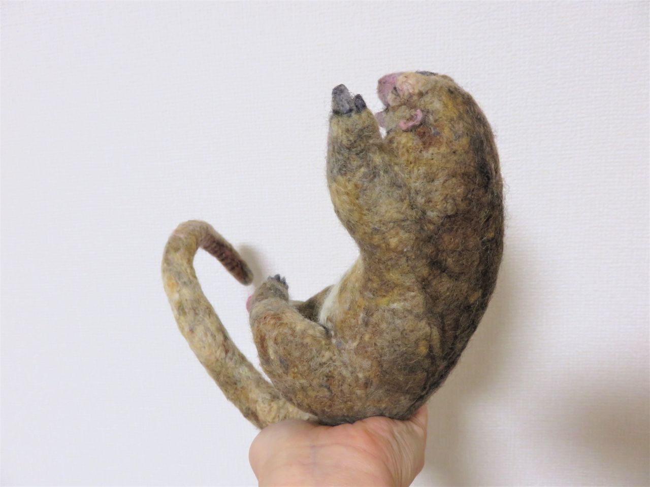 ヒメアリクイ 羊毛の苑 生き物羊毛フェルト ヒメアリクイ 羊毛の苑 生き物羊毛フェルト