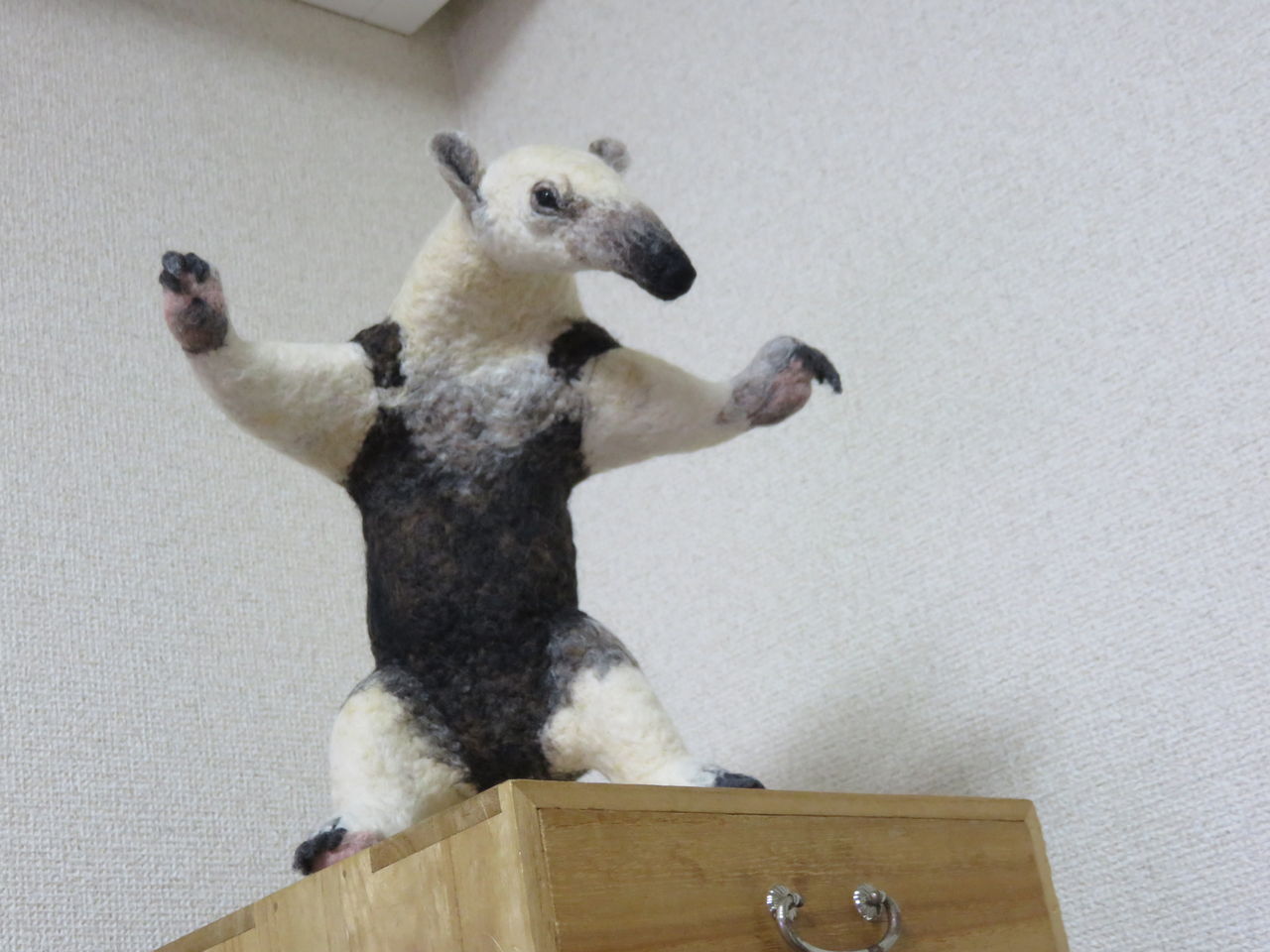 ミナミコアリクイ 羊毛の苑 生き物羊毛フェルト ミナミコアリクイ 羊毛の苑 生き物羊毛フェルト