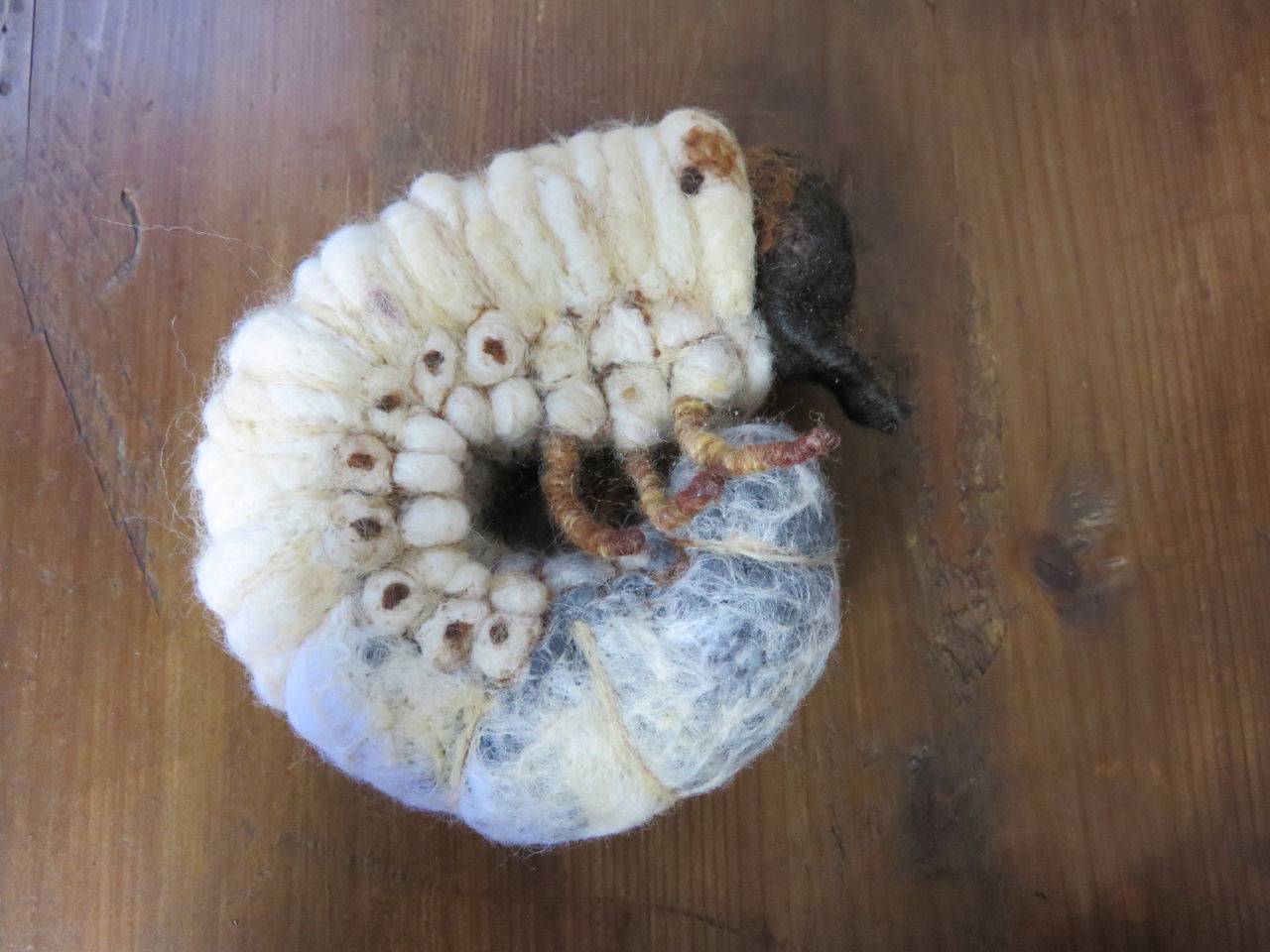カブトムシ幼虫 羊毛の苑 生き物羊毛フェルト