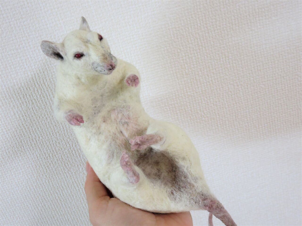 羊毛の苑 生き物羊毛フェルト