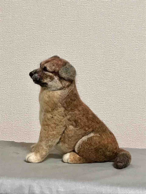 FullSizeRender