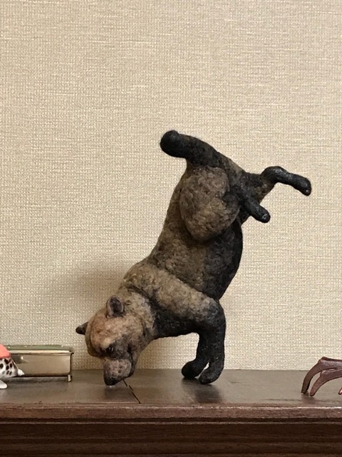 2017-10-24-21-46-45