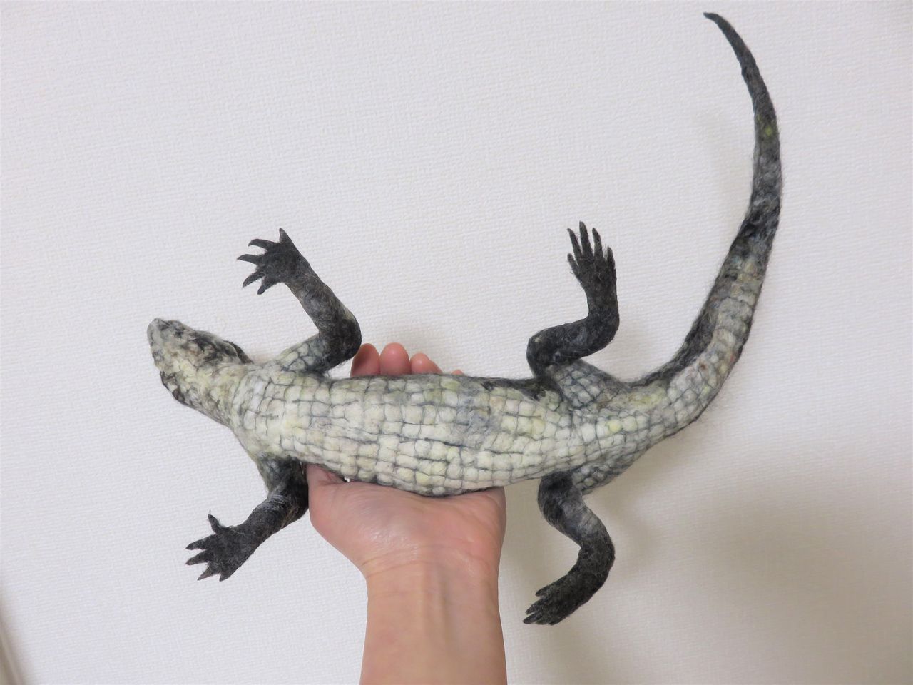 子ワニ : 羊毛の苑～生き物羊毛フェルト～
