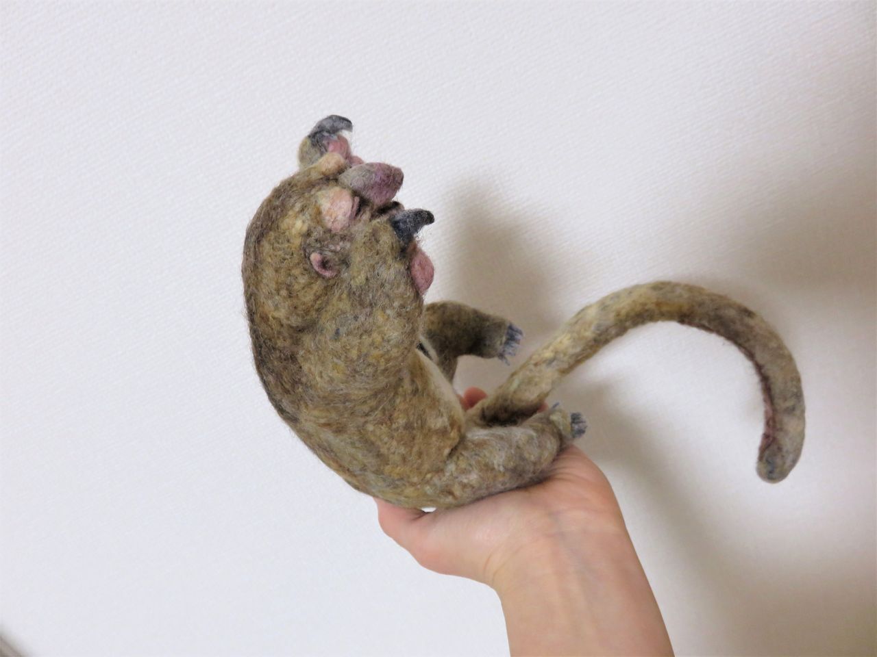 ヒメアリクイ 羊毛の苑 生き物羊毛フェルト ヒメアリクイ 羊毛の苑 生き物羊毛フェルト