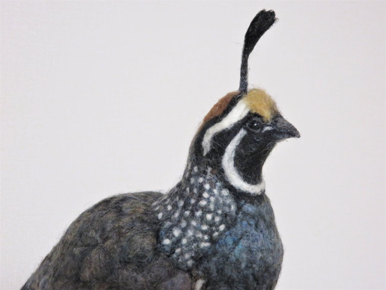 カンムリウズラ 羊毛の苑 生き物羊毛フェルト カンムリウズラ 羊毛の苑 生き物羊毛フェルト