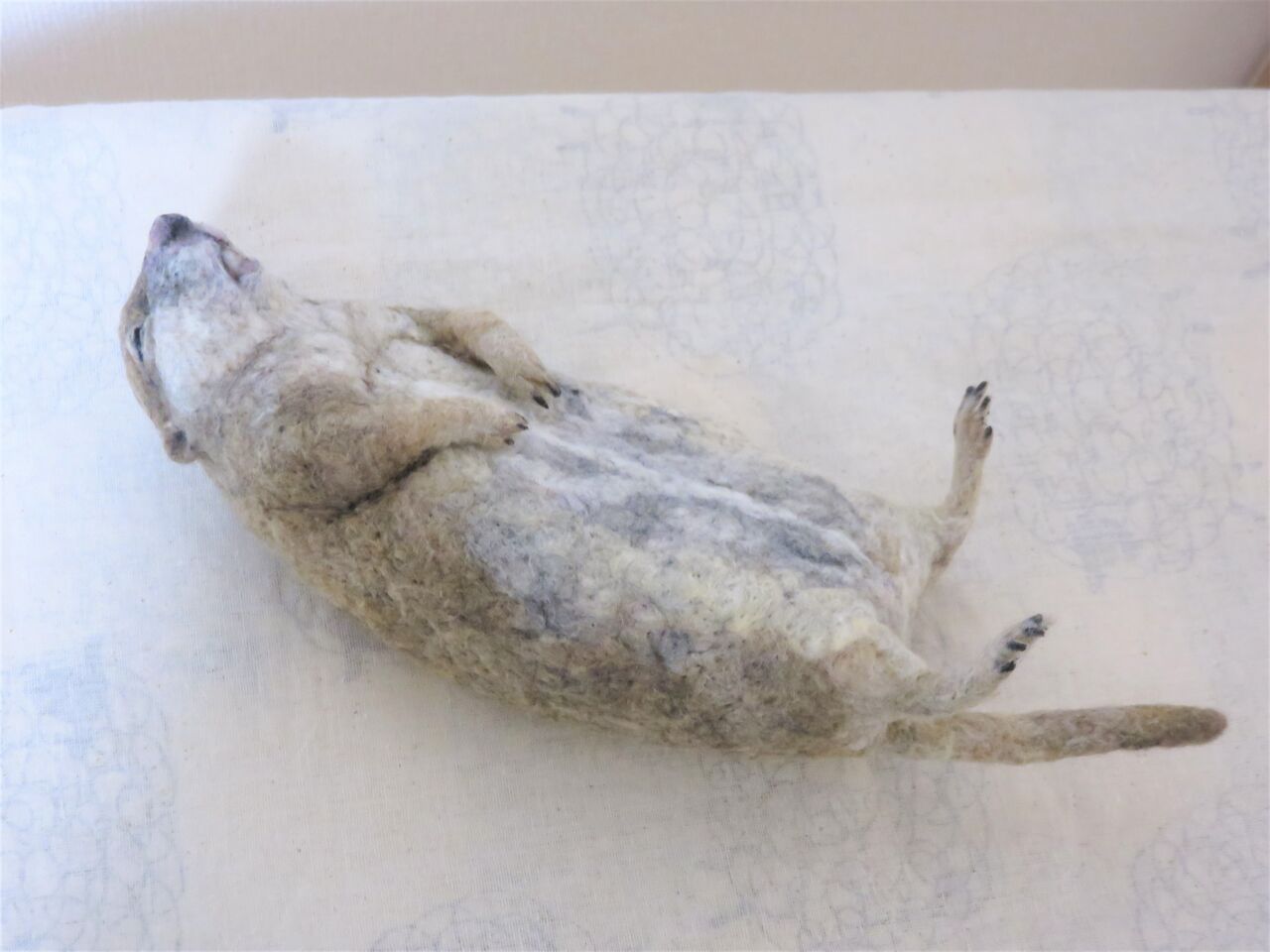 リチャードソンジリス① : 羊毛の苑～生き物羊毛フェルト～