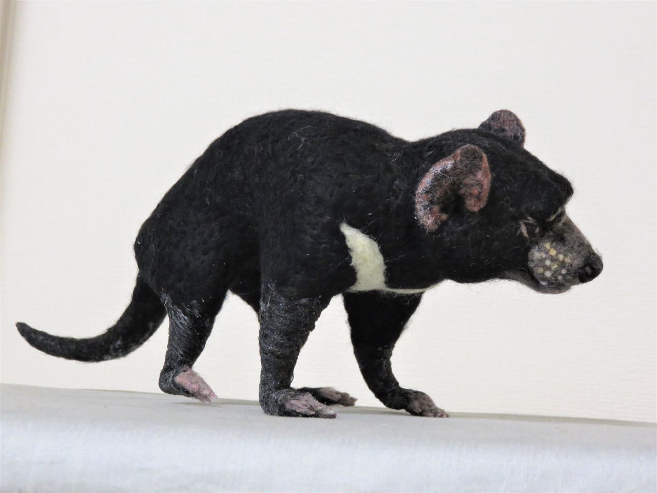 タスマニアデビル 羊毛の苑 生き物羊毛フェルト タスマニアデビル 羊毛の苑 生き物羊毛フェルト