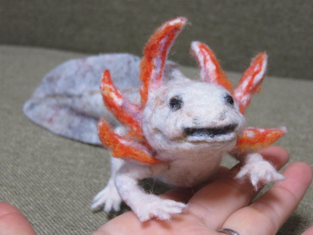 ウーパールーパー 羊毛の苑 生き物羊毛フェルト ウーパールーパー 羊毛の苑 生き物羊毛フェルト