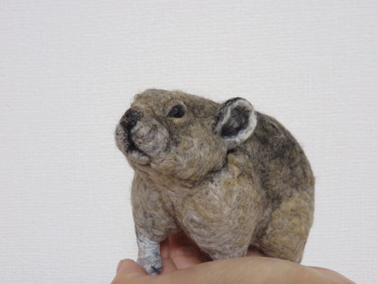 ナキウサギ 羊毛の苑 生き物羊毛フェルト ナキウサギ 羊毛の苑 生き物羊毛フェルト