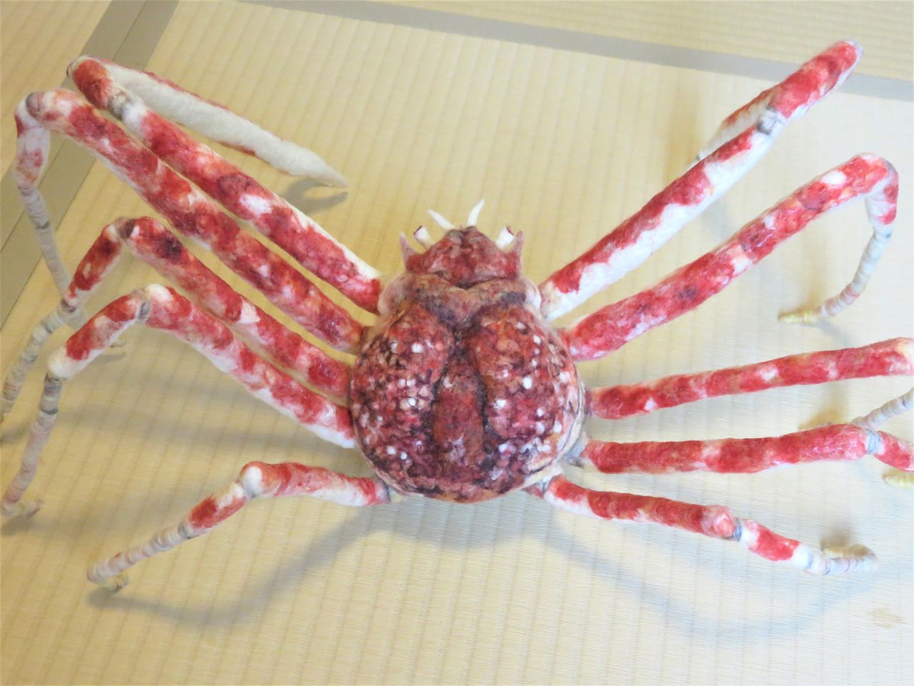 タカアシガニ 羊毛の苑 生き物羊毛フェルト