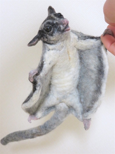 フクロモモンガ : 羊毛の苑~生き物羊毛フェルト~