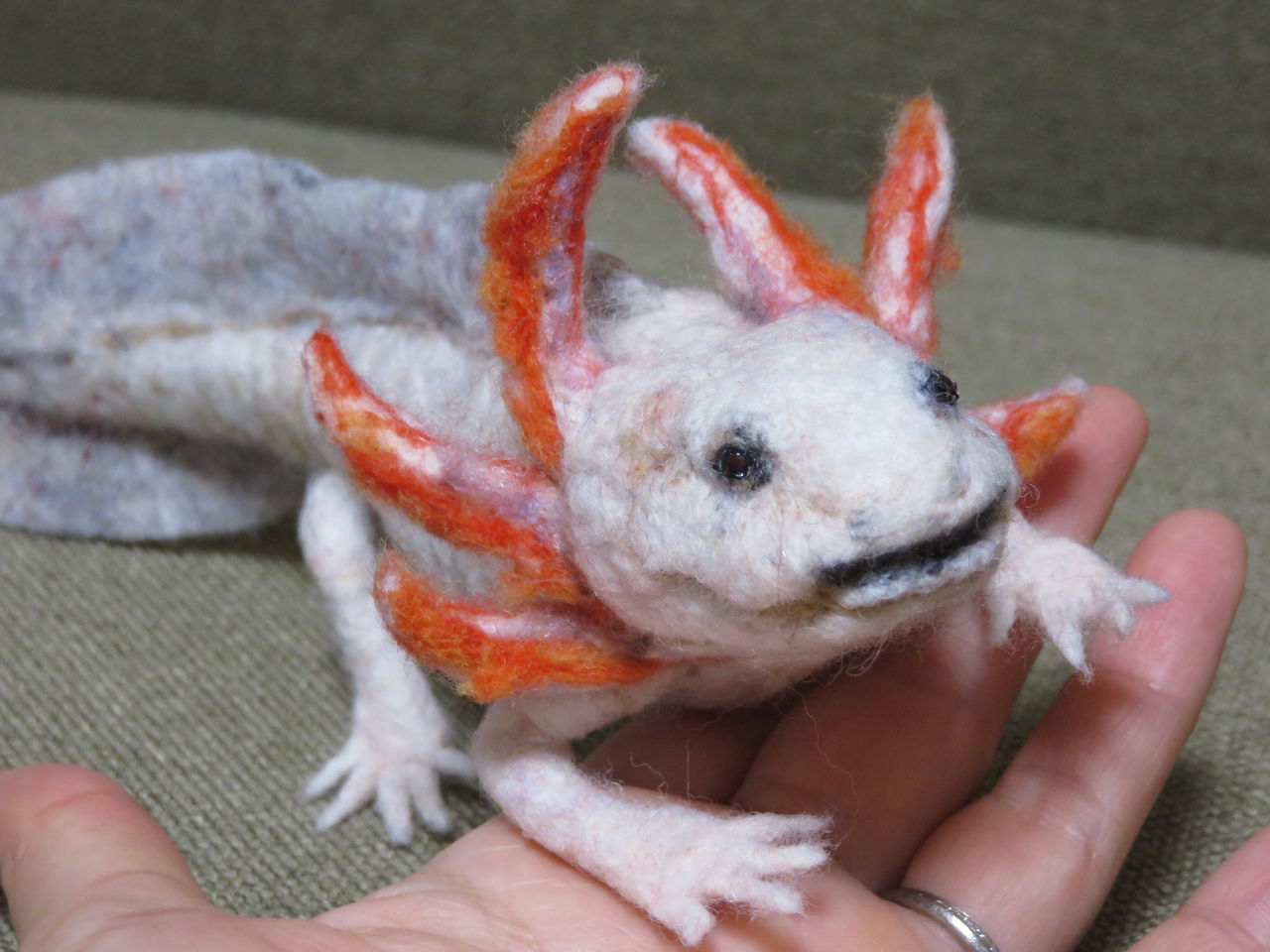 ウーパールーパー 羊毛の苑 生き物羊毛フェルト ウーパールーパー 羊毛の苑 生き物羊毛フェルト