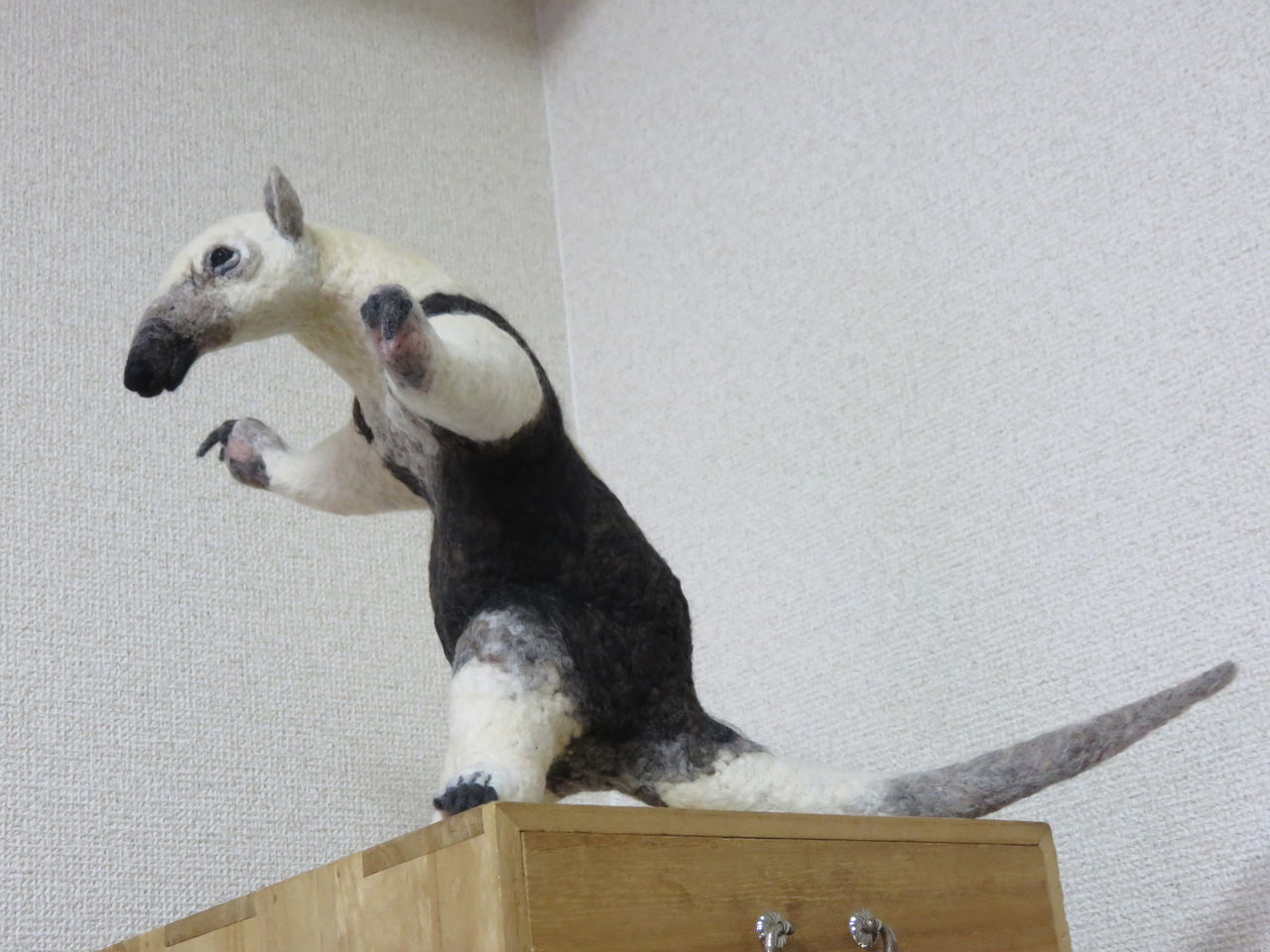 ミナミコアリクイ 羊毛の苑 生き物羊毛フェルト