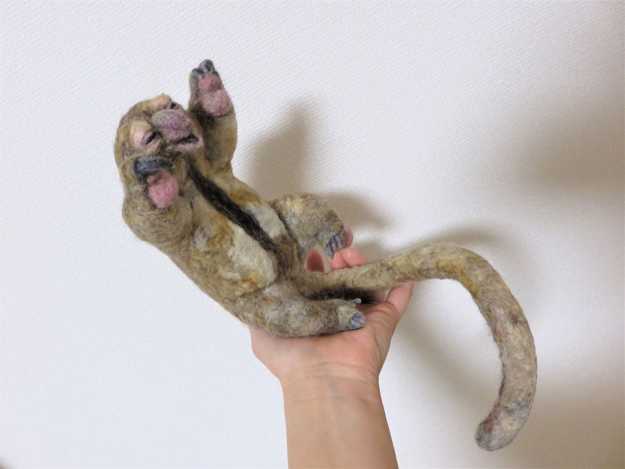 ヒメアリクイ 羊毛の苑 生き物羊毛フェルト ヒメアリクイ 羊毛の苑 生き物羊毛フェルト