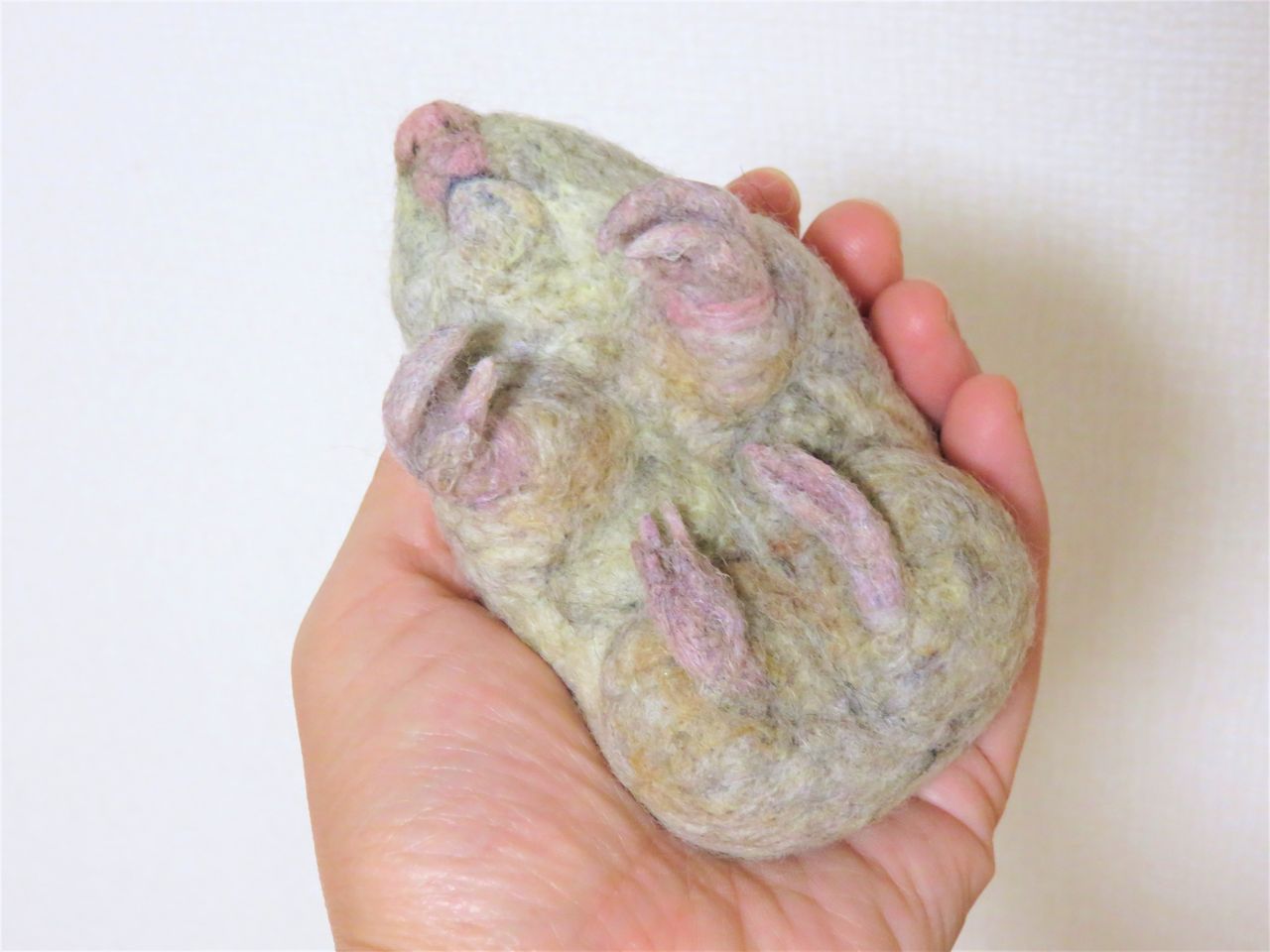 サバクキンモグラ 羊毛の苑 生き物羊毛フェルト