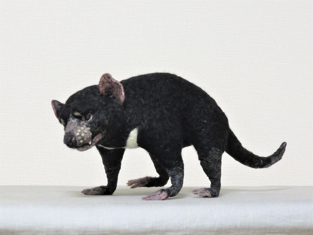 タスマニアデビル 羊毛の苑 生き物羊毛フェルト