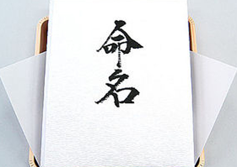 命名