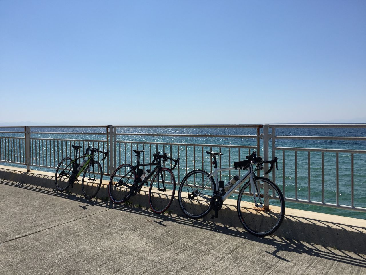 アワイチ 自転車