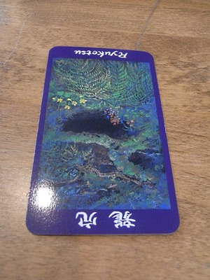 RIMG0040 - コピー